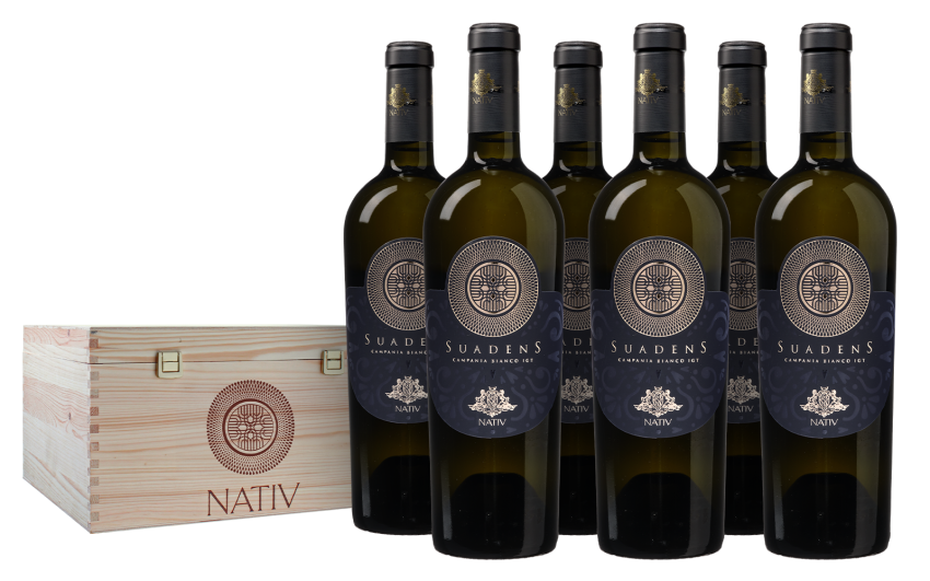 Nativ &apos;Suadens&apos; Bianco Kist
